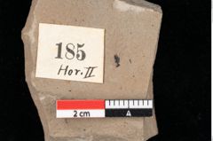 Foto (Detailansicht) von Glyptostrobus ungeri Heer (NHMW-GEO-2024-0188-0185)